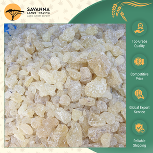 Experiencia Profunda en la Fabricación de Goma Damar Seca Natural de la Más Alta Calidad con 12 Meses de Vida Útil a un Precio de Mercado con Descuento - Product Image 4