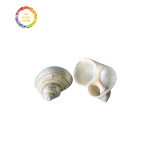 แหวนผ้าเช็ดปากเปลือกหอยที่ทนทานออกแบบมาสำหรับการตกแต่งอาหารที่หรูหราและขายส่งคุ้มค่า - Product Image 6