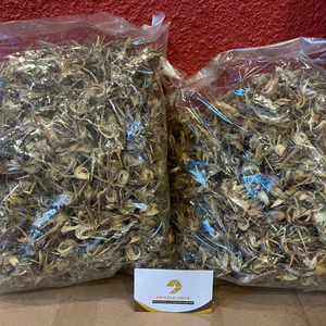 Fleur d'artichaut séchée du Vietnam de haute qualité pour les salons de thé et les menus de boissons de café, offrant un arôme naturel et un goût végétal - Product Image 1