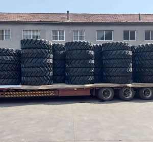 Herringbone <b>Tire</b> 600 650 750 8.3 9.5 11.2-12 16 <b>20</b> 24 28 AGR <b>TIRES</b> for VEHICLE - Product Image 5