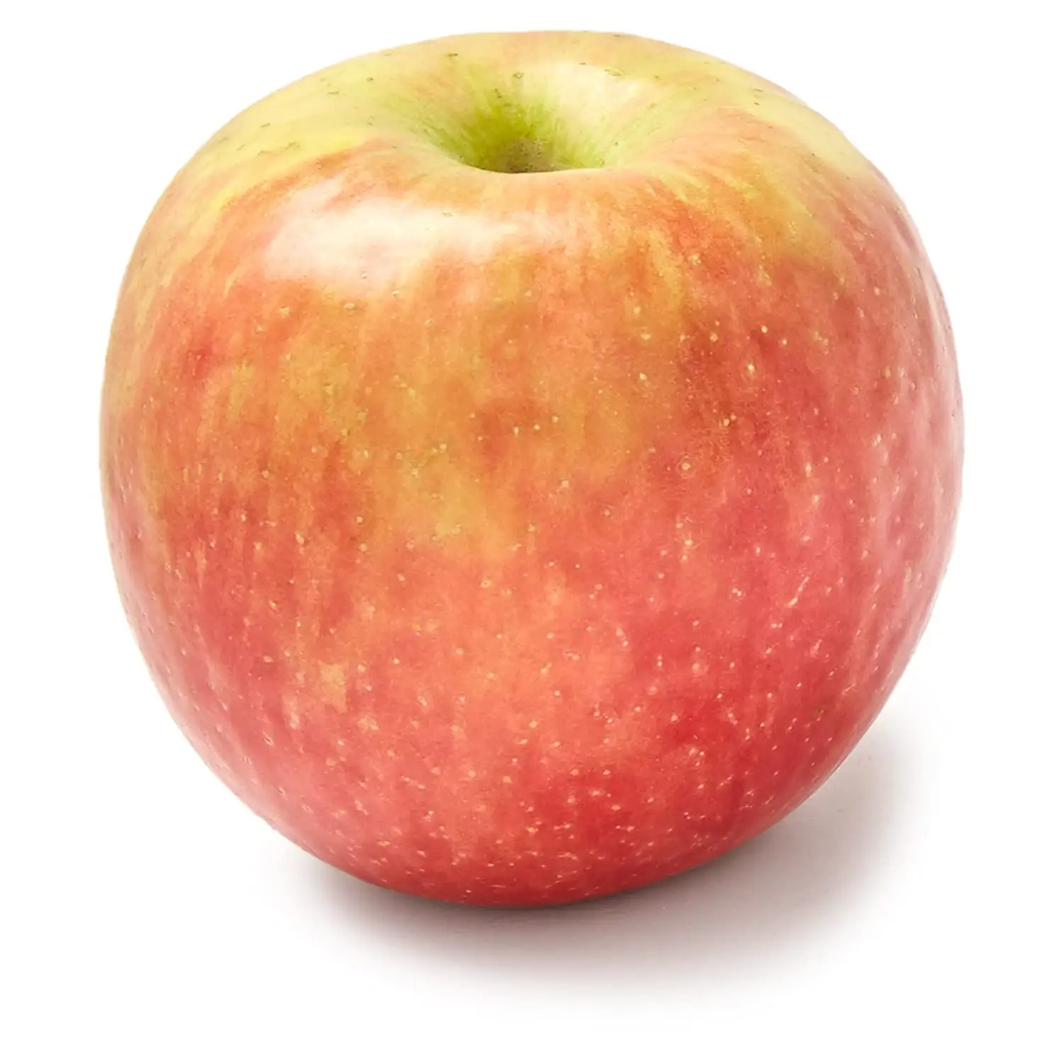 Yüksek kaliteli lezzetli taze meyveler yunan kökenli muhallebi elma meyve