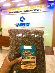 Meilleur prix pour la mouche soldat noire de bonne qualité pour l'alimentation animale - Product Image 5