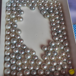 Boucles d'oreilles et collier blancs en perles, qualité AA, taille 11 mm, perles des mers du Sud - Product Image 3