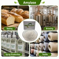 Poudre d'enzyme Amylase de qualité alimentaire 200000 U/g pour la boulangerie et la brasserie
