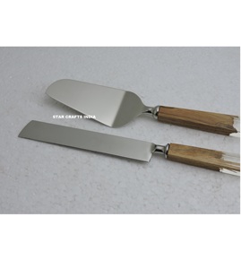 Top Trending Stainless Steel with Resin Handle Salad <b>Server</b> and <b>Cake</b> Knife Set Luxury Decorative Salad and <b>Cake</b> <b>Server</b> Set of 2 - Product Image 5