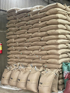 Granos de Café Verde Robusta S18 de Vietnam, en Bolsa de Yute a Granel - Product Image 2