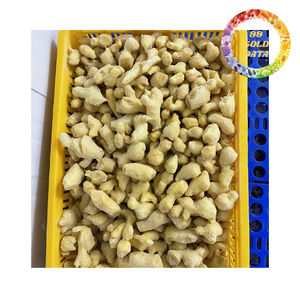 Suministro a granel de jengibre fresco y congelado de Vietnam - Listo para exportar y procesar - Excelente oferta de precio - Product Image 1