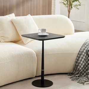 Table basse carrée en métal moderne et écologique pour salon, salon ou bureau d'ordinateur - Product Image 3