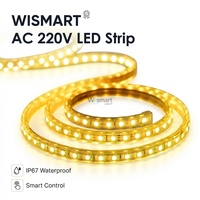 Bande lumineuse LED RGB AC110V 5050, rouleau de 100 m, 60 LED/m, étanche IP67, contrôle vocal via application intelligente, pour extérieur et aménagement paysager