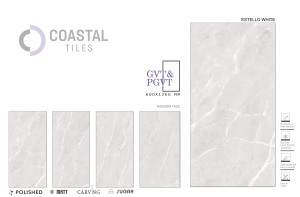 MARVELOUS CLASSY POCELAIN CARREAUX DE SOL INTÉRIEUR 600X1200X9MM DURABLE ESTELLO BLANC Design Moderne Style Firebrick Fonction VILLA - Product Image 2