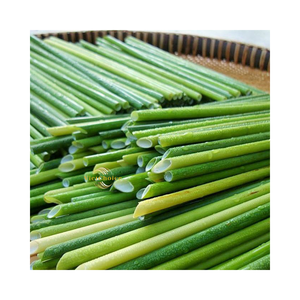 Pajita Ecológica de Paja Natural, Alternativa Biodegradable a la Plástica - Product Image 2