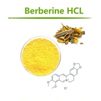 Poudre d'extrait de HCL de berbérine pure de haute qualité 97% extrait de Coptis de berbérine Chlorhydrate de berbérine