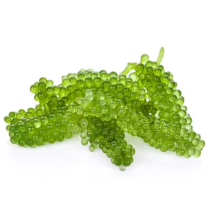 Tonique pour la peau au caviar vert, formule coréenne à base de raisins de mer, acide hyaluronique, anti-âge, éclaircissant, sans huile, sans parabène, ODM/OBM - Product Image 6