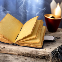 Diario de Cuero para Amantes de las Loras y las Búhos, 200 Páginas, Libro de Sombras Grimoire Vintage, Hecho a Mano, Regalo de Brujería para Mujeres