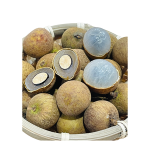 Fruit Longan biologique personnalisé, sucré et naturel, fraîchement fabriqué au Vietnam, marque personnalisée - Product Image 1