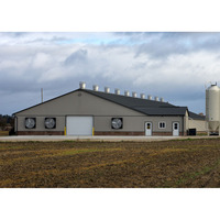 Cage en couches 1000 poulets, ferme de volaille, maison de poulet, maison de poulet, conception de ferme de volaille, bon marché