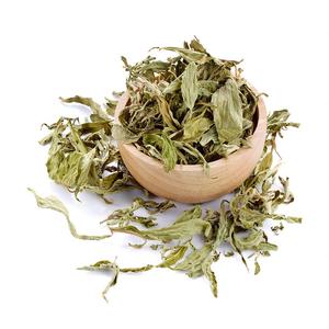 STEVIA RABAUDIANA SÉCHÉE À VENDRE CULTURE - Product Image 6