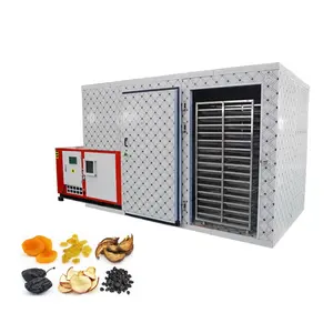 Máquina de secagem de ar quente, secador especial para frutas secas
