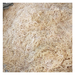 Desde los mares limpios de Vietnam, le traemos musgo de mar puro de algas marinas, por lo que es la elección perfecta de musgo de mar de algas para usted. - Product Image 4