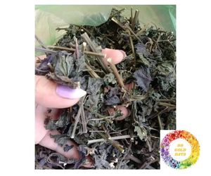 Exportación de hojas de perilla secas de alta calidad-Hojas verdes de Shiso y Britton-Hojas de perilla secas de primera calidad con la mejor oferta - Product Image 5