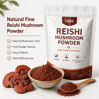 Poudre de champignon Reishi de haute qualité en gros, Ganoderma Lucidum pur, matière première de qualité alimentaire, OEM ODM, prix de gros, approvisionnement