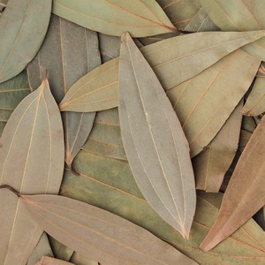 Hoja de laurel seca en piezas enteras, calidad premium para cocinar currys, biryani y sopas, de proveedor indio, especias herbales, sabor auténtico. - Product Image 6
