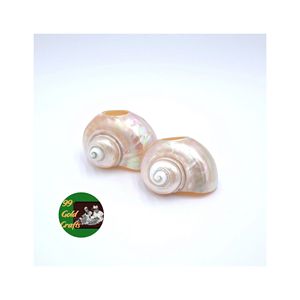 Anneaux de serviette en coquillages naturels, fabriqués à la main au Vietnam, pour la décoration de table de mariage sur la plage et les accessoires de style côtier pour la maison - Product Image 6