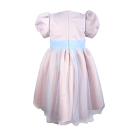 Boutique robe brodée à la machine pour enfants ODM vente en gros robe de fête pour petite princesse manches courtes violet pour bébé fille