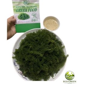 Uvas de Mar Frescas, Mariscos Saludables, Caviar Verde, Suministro a Granel, Empaque OEM Disponible - Product Image 3