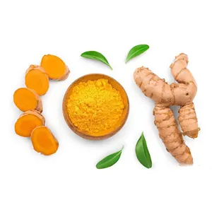 Curcumin extrato de cúrcuma 90% ODM em Nescharma fábrica no Vietnã com o melhor preço, alta qualidade e embalagens personalizáveis