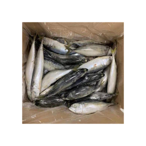 Poisson Barracuda congelé proposé à prix réduit pour les marchés de gros et d'exportation - Product Image 2
