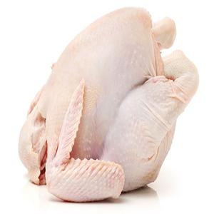 Poulet entier congelé halal Pattes de poulet congelées de qualité supérieure Pieds transformés congelés Achat de commandes en gros en ligne Livraison rapide - Product Image 4
