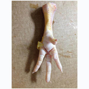 Patas y Pechugas de Pollo Congeladas, Halal, a los Mejores Precios con Envío Rápido a Todo el Mundo - Product Image 3