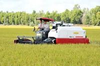 Yanmar Thailand YH850 D23W 85HP moissonneuse-batteuse de riz à haute efficacité moissonneuse batteuse pour champs humides moteur de prix usine