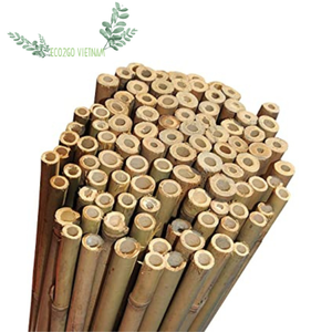Piquets en bambou écologiques de vente chaude Piquets en bambou de haute qualité du Vietnam - Product Image 2