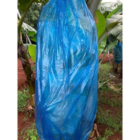 Sac de protection réutilisable en PP Cenplas pour bananes, avec fonction spéciale pour l'agriculture, épaisseur 0,5 mm, MOQ 1 tonne