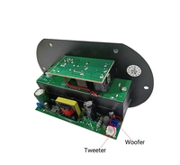 Carte d'amplification audio pour voiture, carte mère d'amplificateur audio, caisson de basses, amplificateur audio domestique, 12V, 24V, 220V