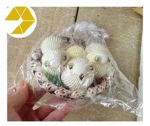 Adornos creativos de concha de caracol, encantadores diseños de animales de concha marina, regalos ideales, animales de concha marina a granel, ofertas increíbles listas para entregar - Product Image 6