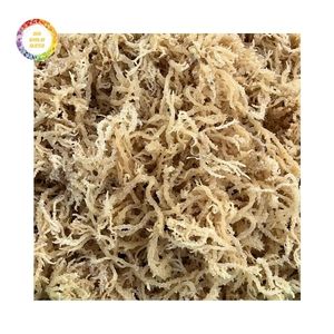 สาหร่ายมอสไอริชแห้งคุณภาพพรีเมียม จำหน่ายจำนวนมาก ราคาแข่งขันสำหรับผู้ซื้อขายส่ง - Product Image 6