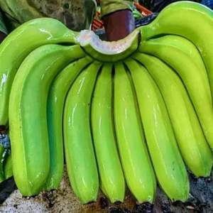 Plátanos Cavendish Frescos - Clase I Premium - Exportación - Suministro a Granel - Product Image 2