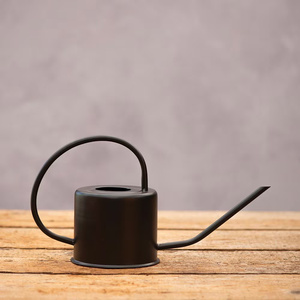 Regadera de metal duradera para jardinería diaria en el hogar, que ofrece un flujo de agua constante para flores, hierbas y huertos. - Product Image 3