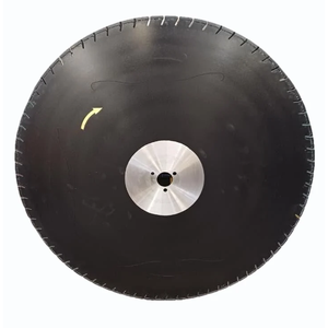 Lames de coupe en béton préfabriqué précontraint de 800 mm - Product Image 1