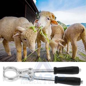 คีมตัดเหล็กสแตนเลสแบบ dizzburo ยาว9นิ้วพร้อมโลโก้ - Product Image 5