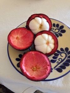 100% Dried Mangosteen From Fresh Mangosteen Organic Fruit Origin From Vietnam - Product Image 3