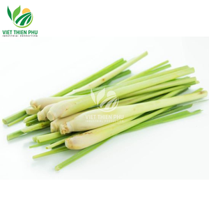VIET NAM Premium Quality Certified Organic Frozen Lemongrass Stem IQF Best Food Health Spice Certified Organic Frozen Vegetables - Product Image 6