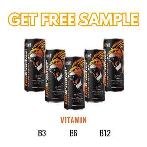 Agotado Rápidamente Energy Drink Leotracker 250ml Can High Power OEM ODM Personalizable Precio al por mayor Muestra gratis HALAL ISO - Product Image 6