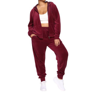 Nuevo y elegante chándal de terciopelo con logotipo personalizado, Tops cortos, pantalones de chándal, conjunto de 2 piezas, chándales de terciopelo para mujer 2026 - Product Image 2