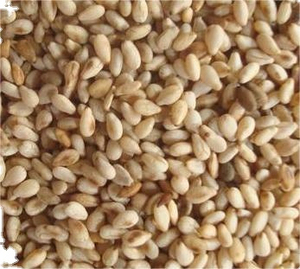 Graines de sésame biologiques en vrac de qualité supérieure récoltées fraîchement Récolte 2025 Ingrédient alimentaire sain à faible coût Fournisseur agricole naturel - Product Image 2