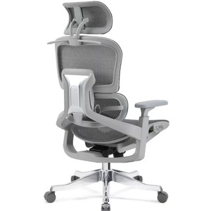 Sedia da Ufficio Ergonomica di Lusso, Regolabile in Altezza, Girevole, con Schienale in Rete - Product Image 4