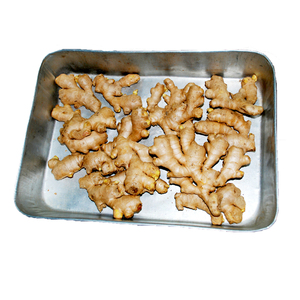 รากขิงสดแบบดั้งเดิมและออร์แกนิกรากขิงสดใหม่ได้รับการรับรองจาก USDA - Product Image 2